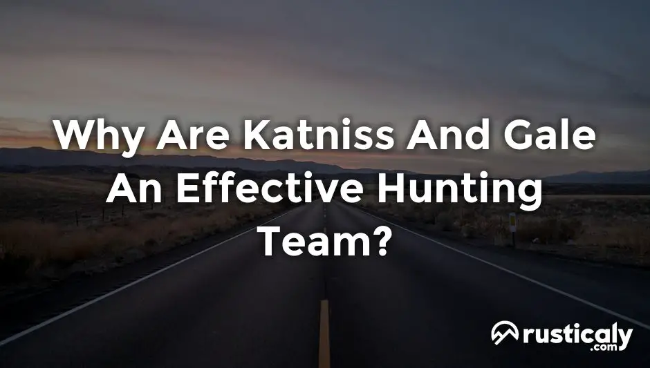 why are katniss and gale an effective hunting team