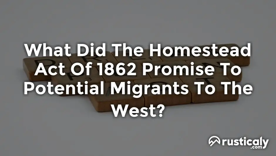 what did the homestead act promise