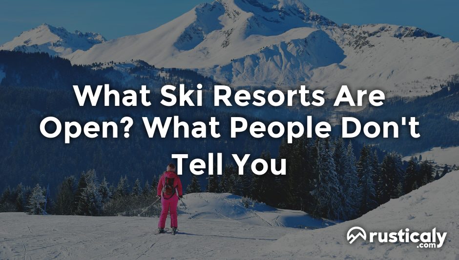 what ski resorts are open
