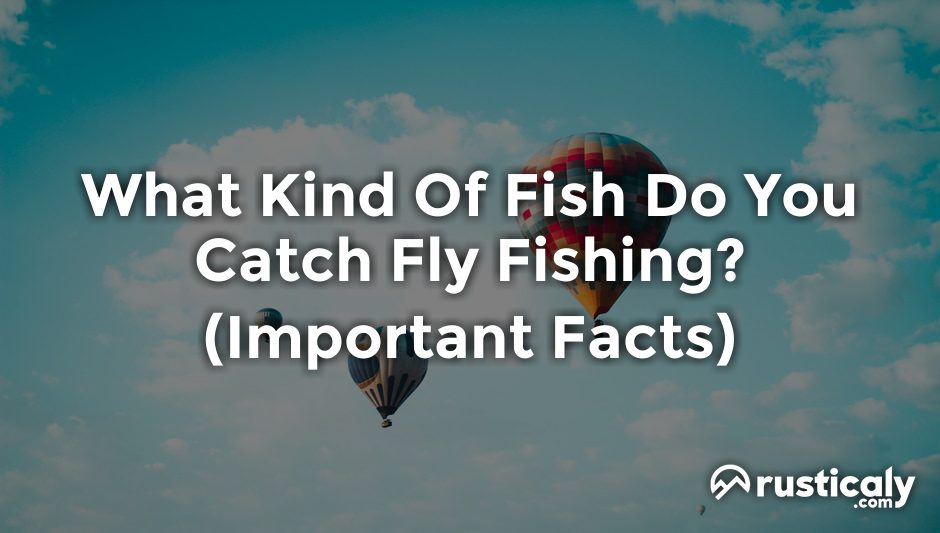 what kind of fish do you catch fly fishing