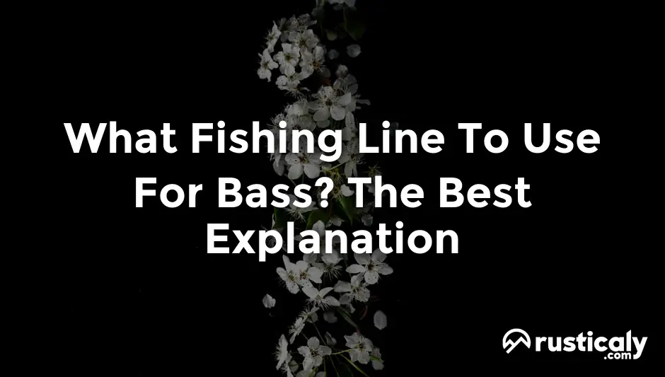 what fishing line to use for bass