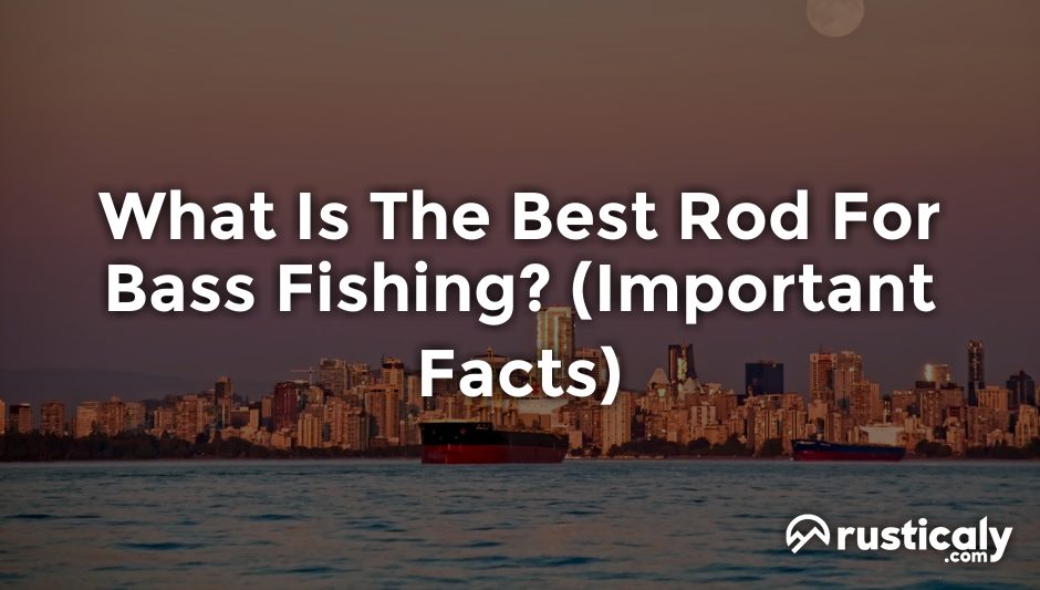 what is the best rod for bass fishing