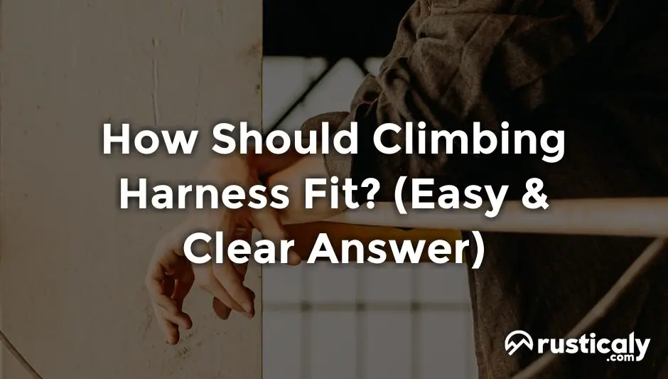 how should climbing harness fit