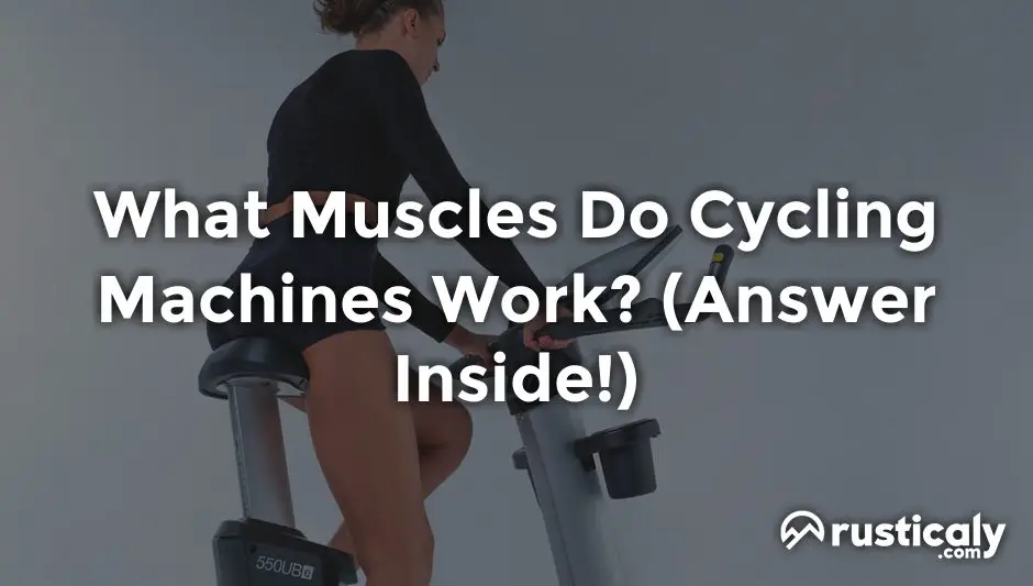 what muscles do cycling machines work