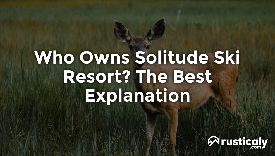 who owns solitude ski resort