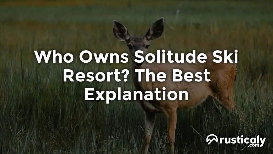 who owns solitude ski resort