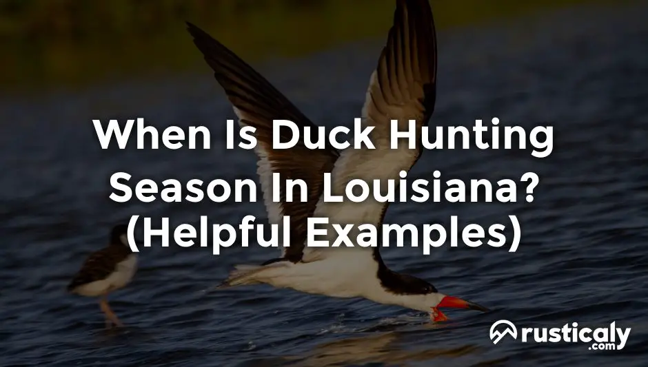when is duck hunting season in louisiana