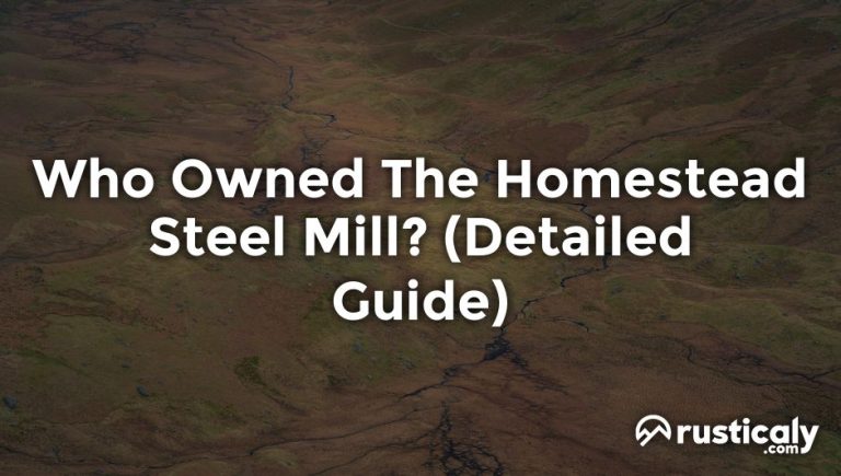 who owned the homestead steel mill