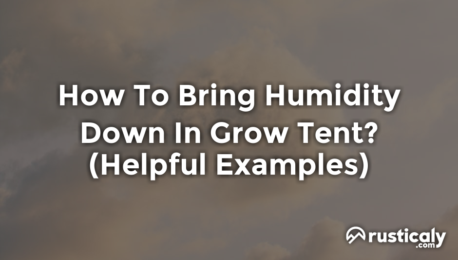 how to bring humidity down in grow tent