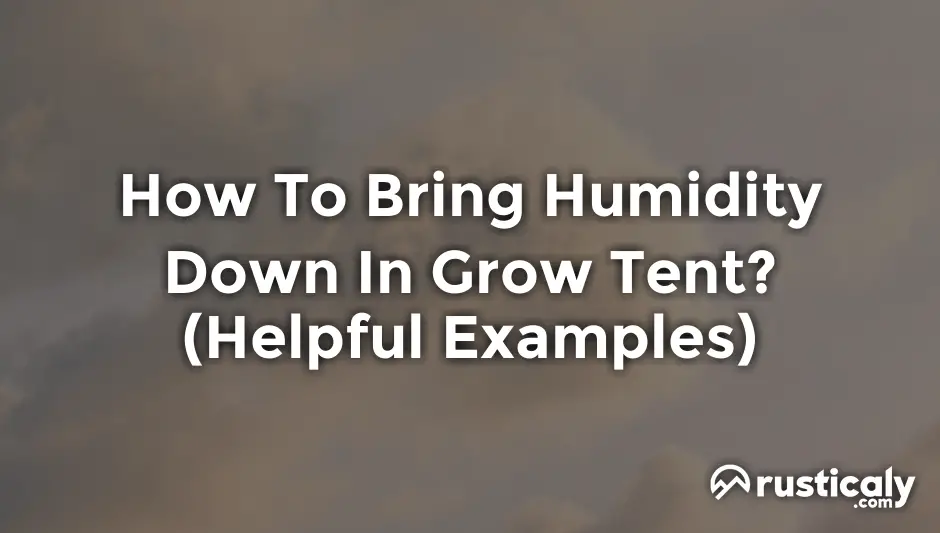 how to bring humidity down in grow tent