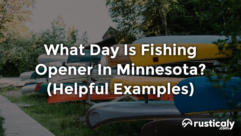 what day is fishing opener in minnesota