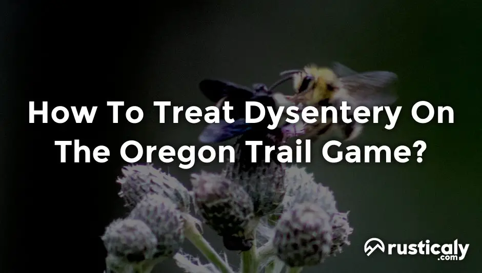 how to treat dysentery on the oregon trail game