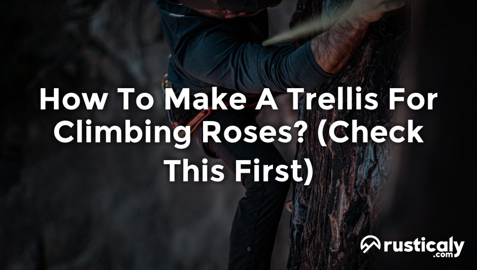 how to make a trellis for climbing roses