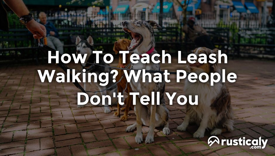how to teach leash walking