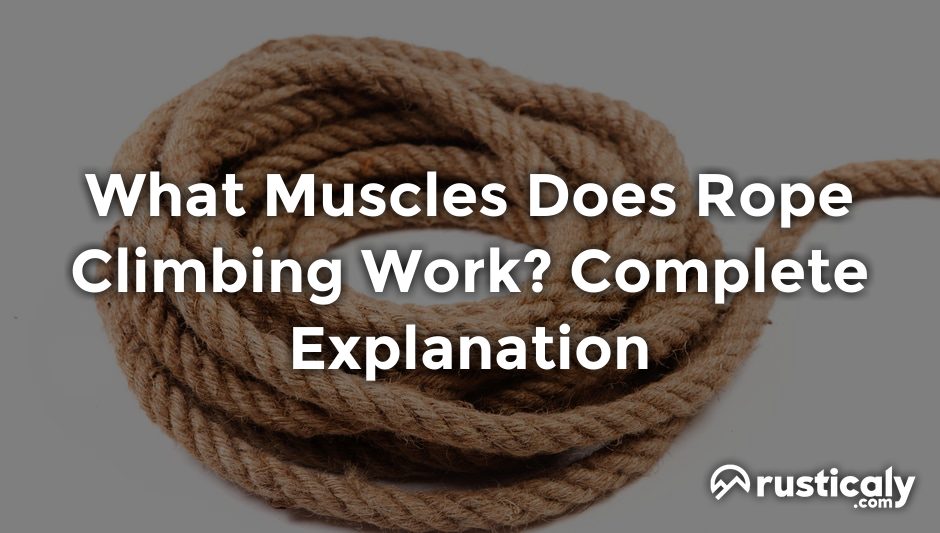 what muscles does rope climbing work