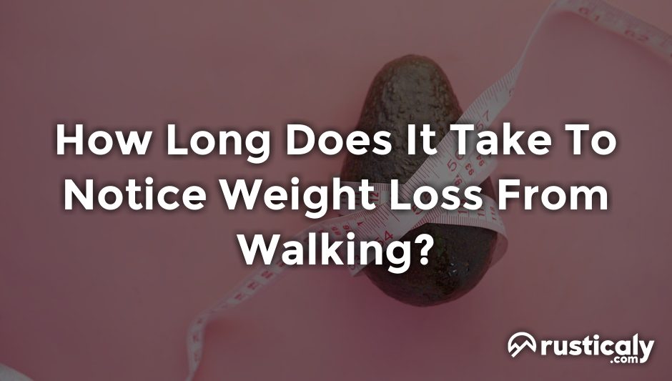 how long does it take to notice weight loss from walking?