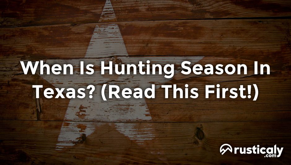 when is hunting season in texas