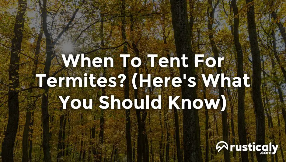 when to tent for termites