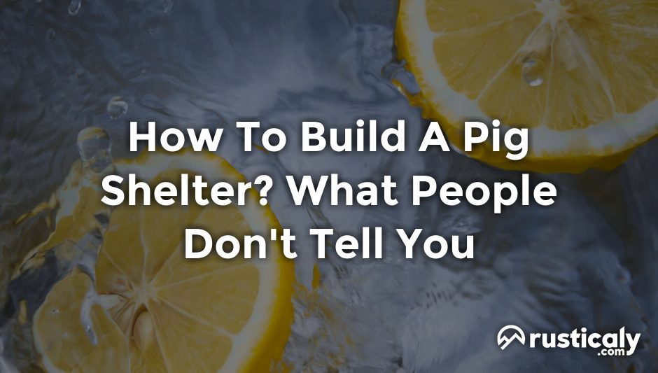 how to build a pig shelter