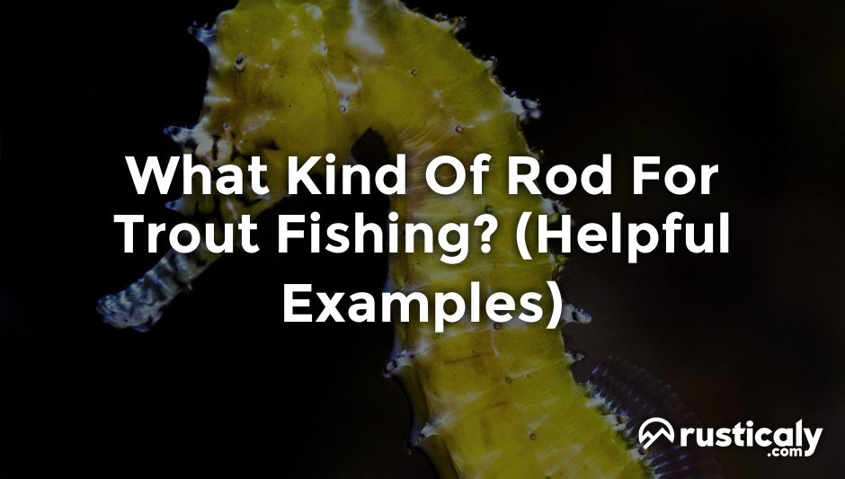 what kind of rod for trout fishing