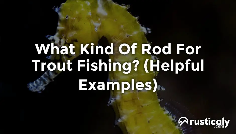 what kind of rod for trout fishing