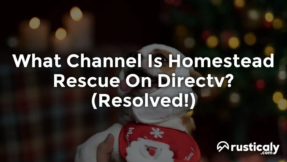 what channel is homestead rescue on directv