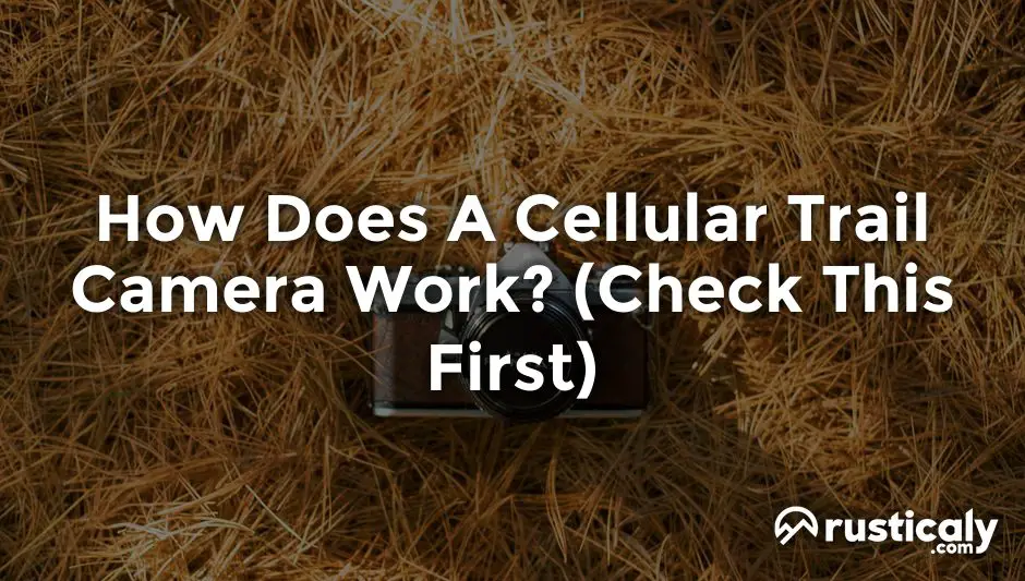 how does a cellular trail camera work