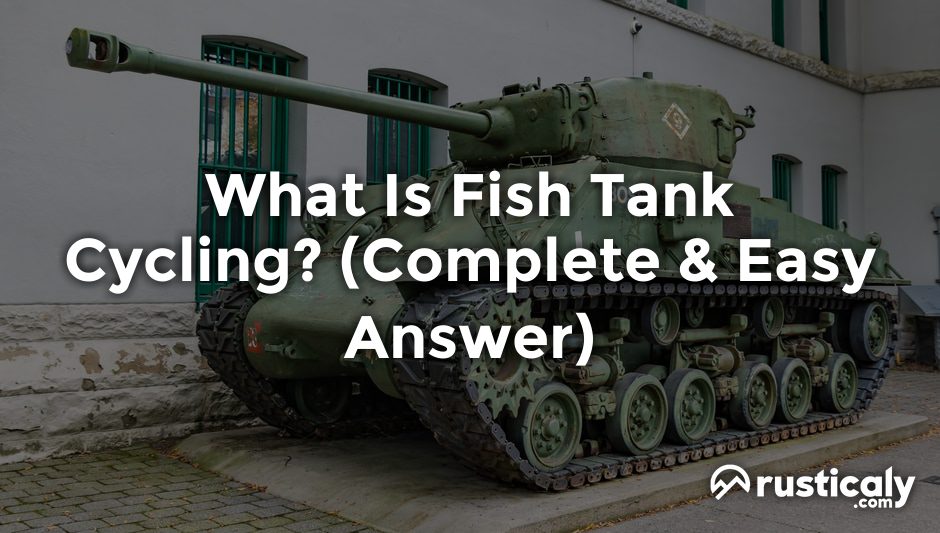 what is fish tank cycling
