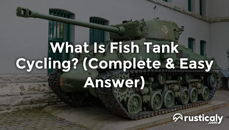 what is fish tank cycling