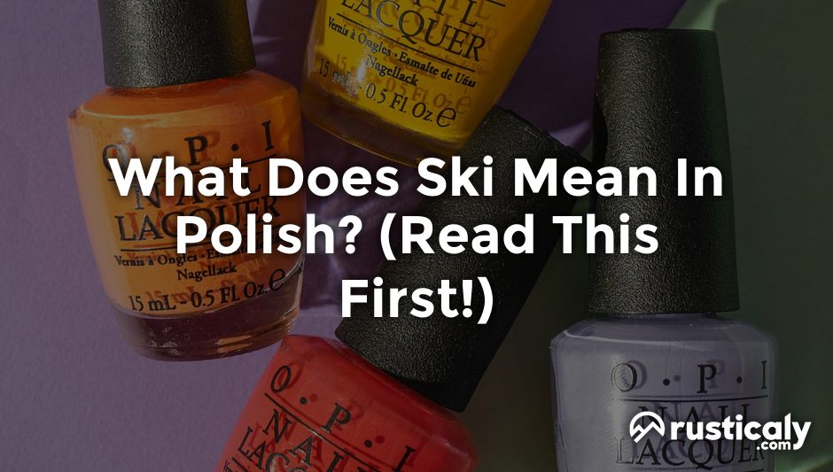 what does ski mean in polish