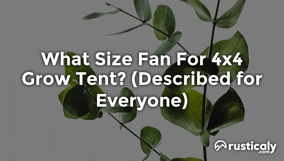 what size fan for 4x4 grow tent