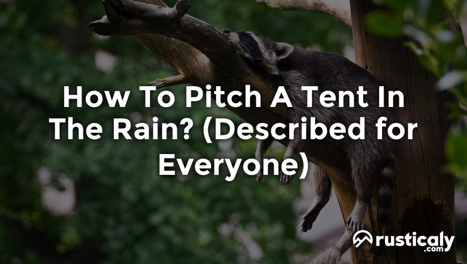 how to pitch a tent in the rain