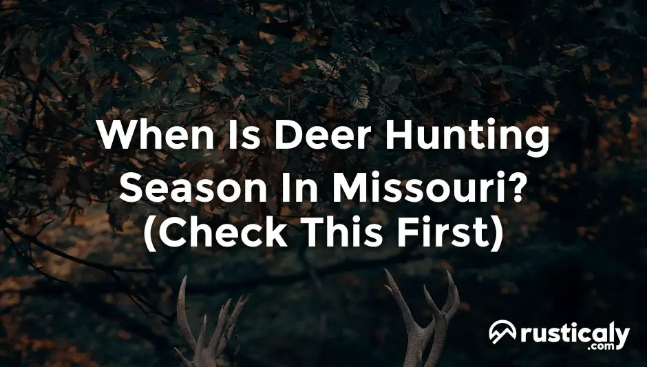When Is Deer Hunting Season In Missouri? (Helpful Examples)