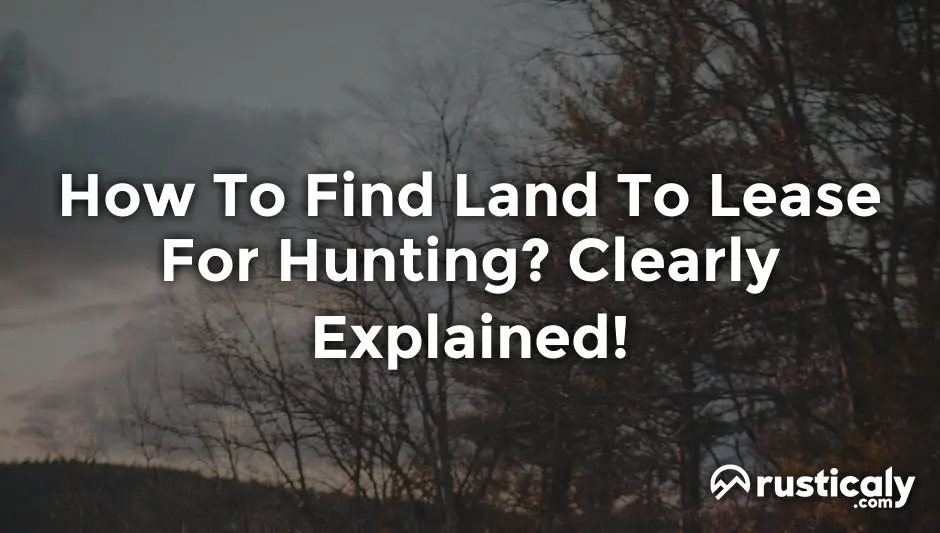How To Find Land To Lease For Hunting? (Helpful Examples)