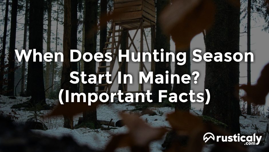 when does hunting season start in maine
