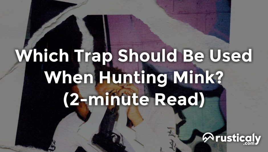 which trap should be used when hunting mink?