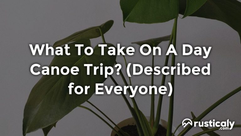what to take on a day canoe trip