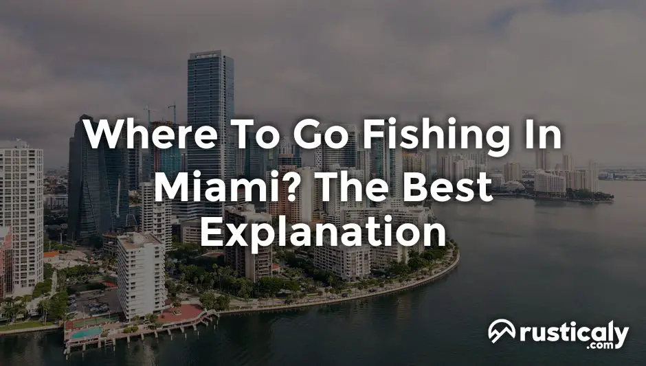 where to go fishing in miami