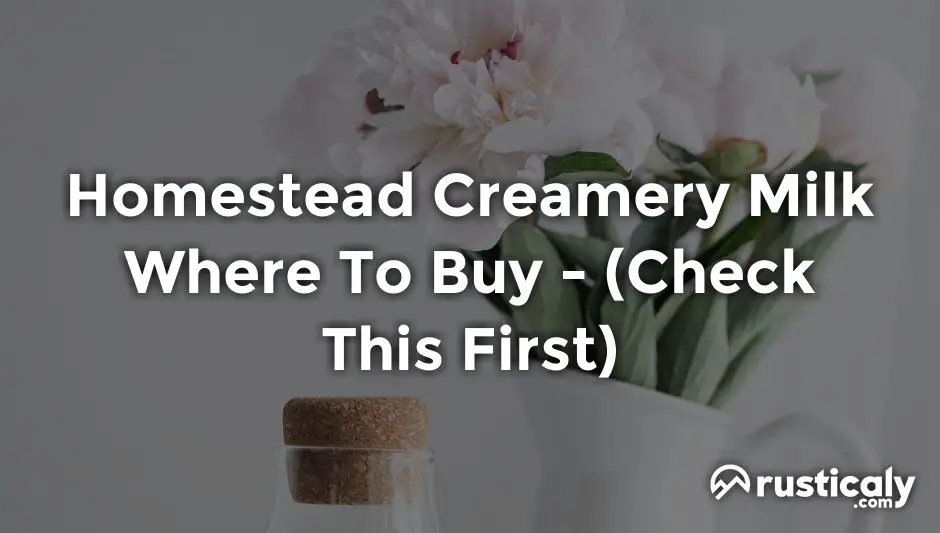 homestead creamery milk where to buy