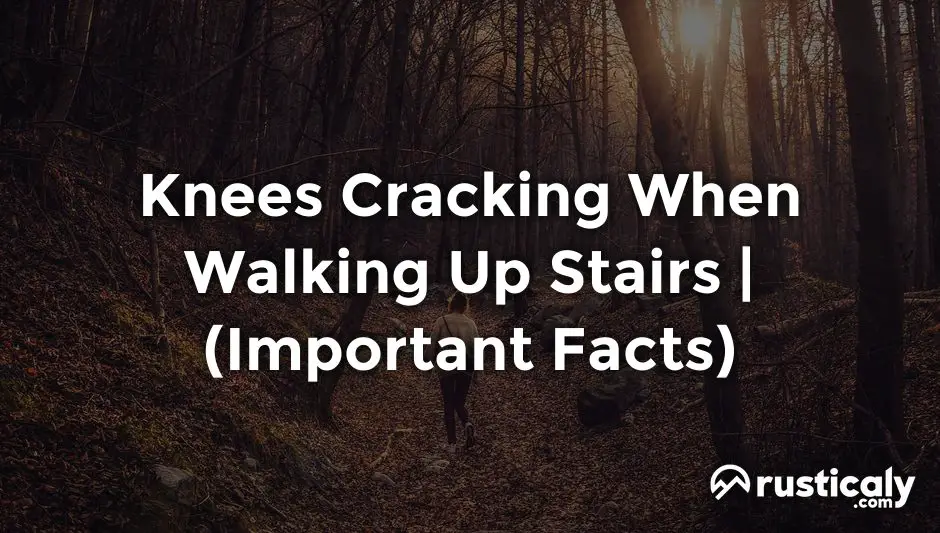 knees cracking when walking up stairs
