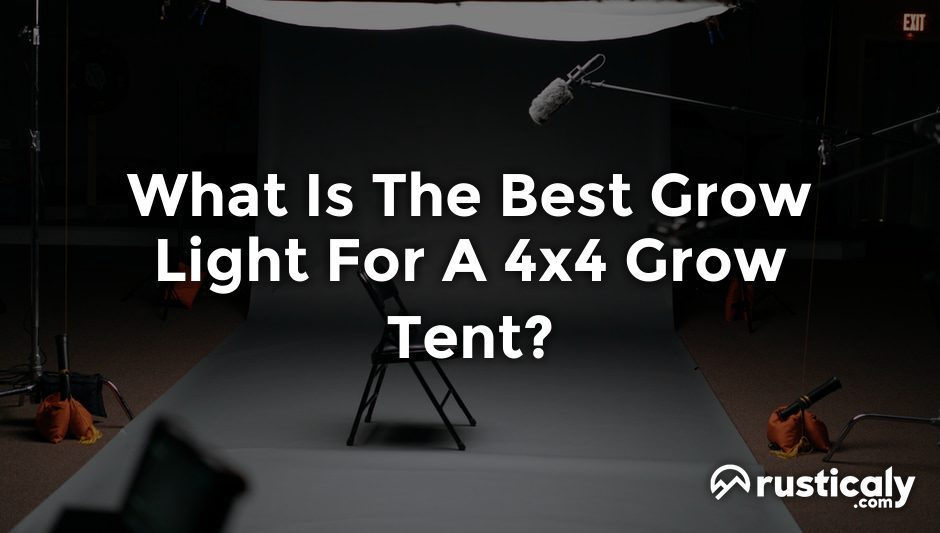 what is the best grow light for a 4x4 grow tent?