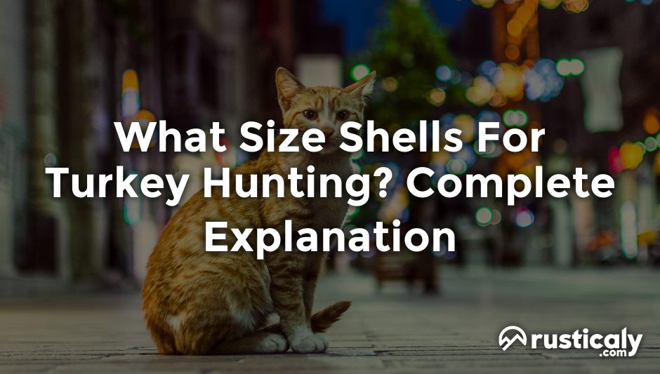 what size shells for turkey hunting