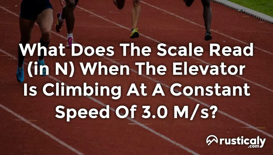 what does the scale read (in n) when the elevator is climbing at a constant speed of 3.0 m/s?