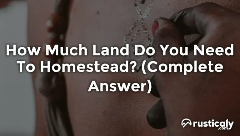 how much land do you need to homestead