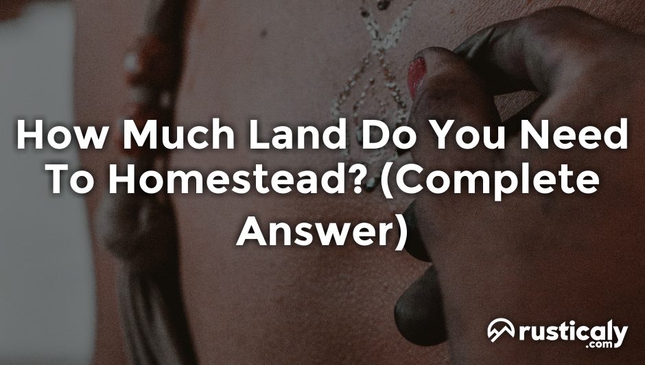 how much land do you need to homestead