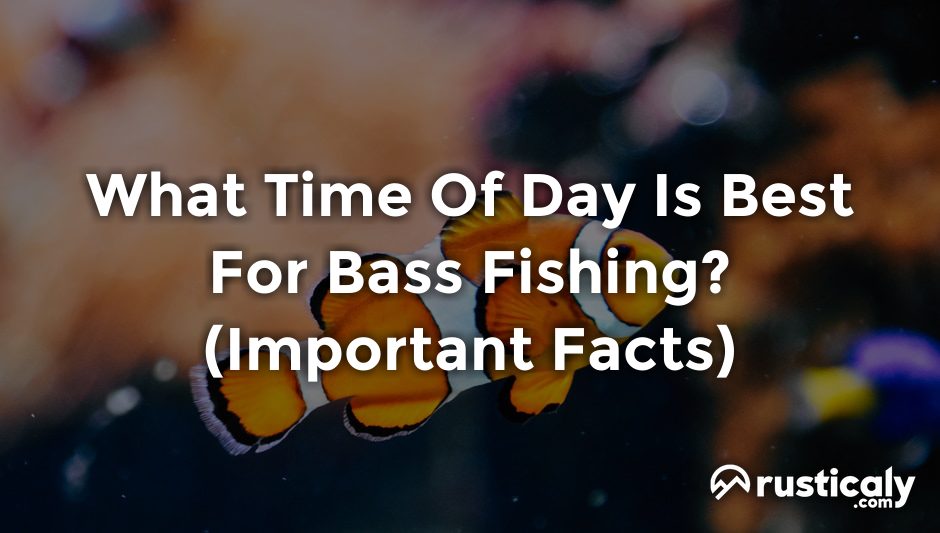 what time of day is best for bass fishing