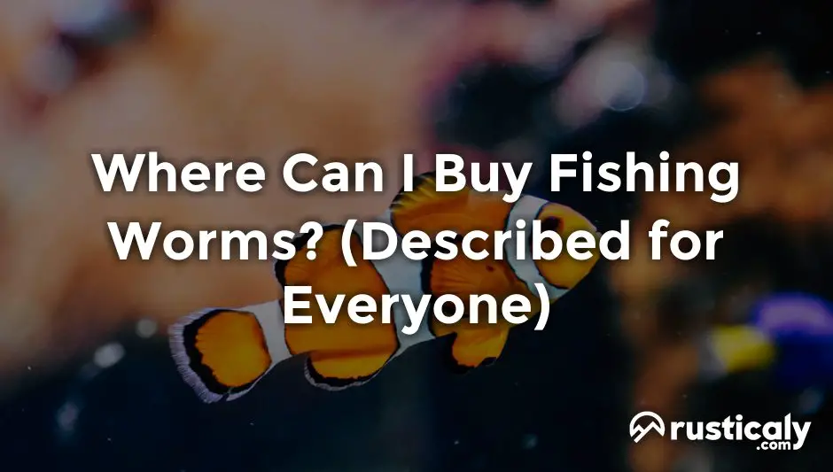 where can i buy fishing worms