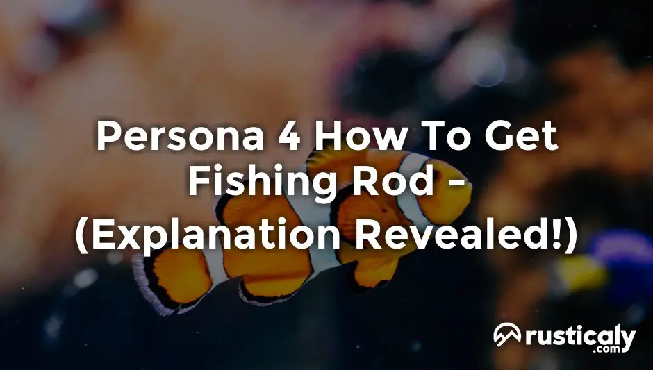 persona 4 how to get fishing rod