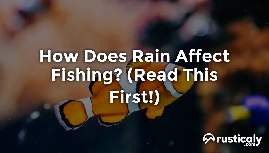 how does rain affect fishing