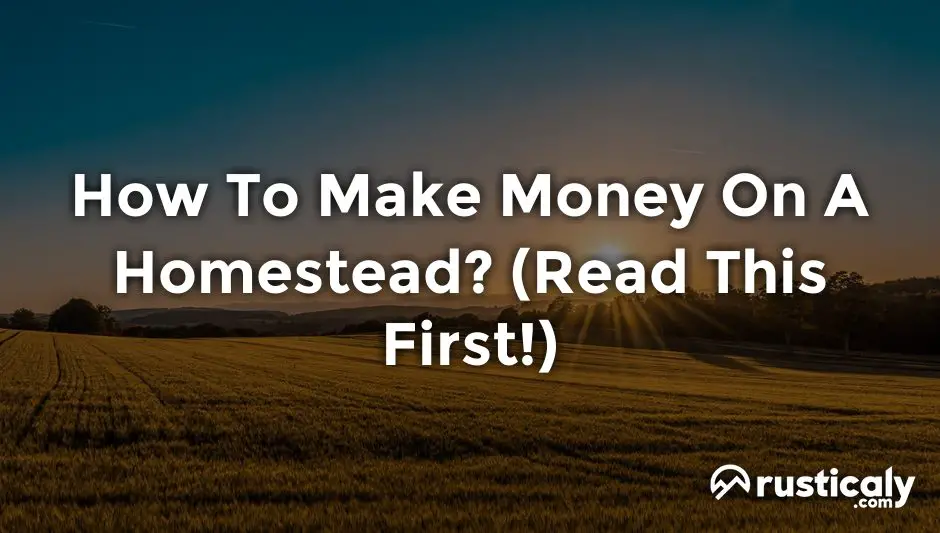 how to make money on a homestead